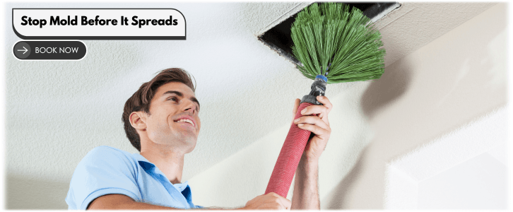 Air Duct Mold Removal in Waukegan IL