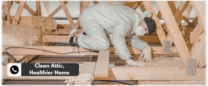 Attic Cleaning Waukegan IL